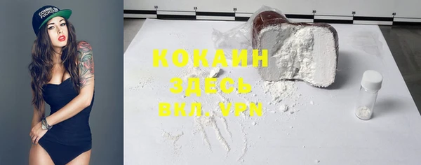apvp Богородицк
