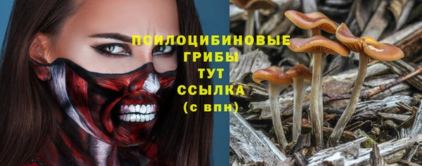 apvp Богородицк
