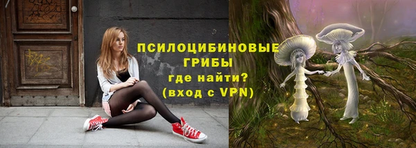 apvp Богородицк