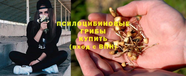 apvp Богородицк