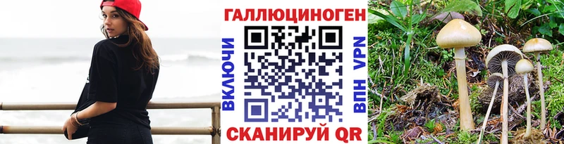 где продают наркотики  Александровское  Псилоцибиновые грибы GOLDEN TEACHER 