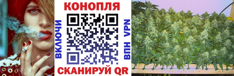 купить закладку  Александровское  Конопля LSD WEED 